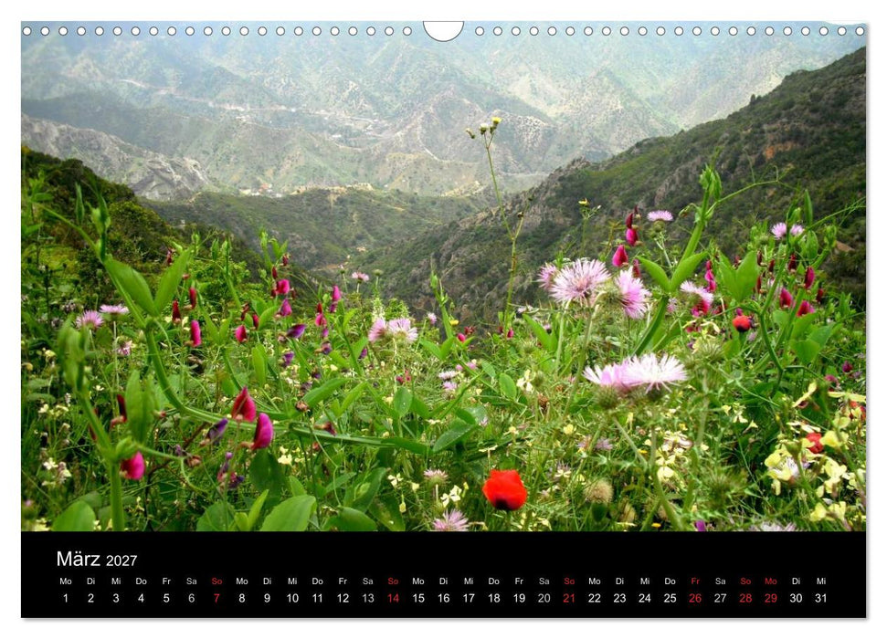 La Gomera (CALVENDO Wandkalender 2027)