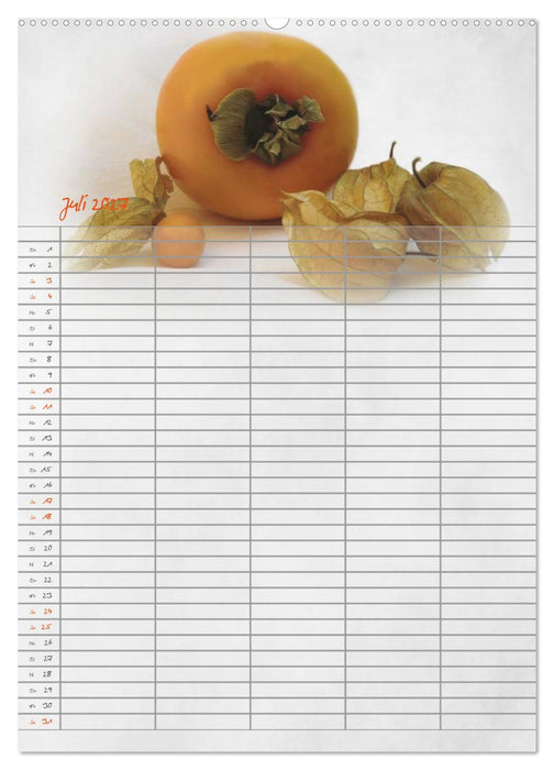 Familienplaner für die Küche. (CALVENDO Premium Wandkalender 2027)
