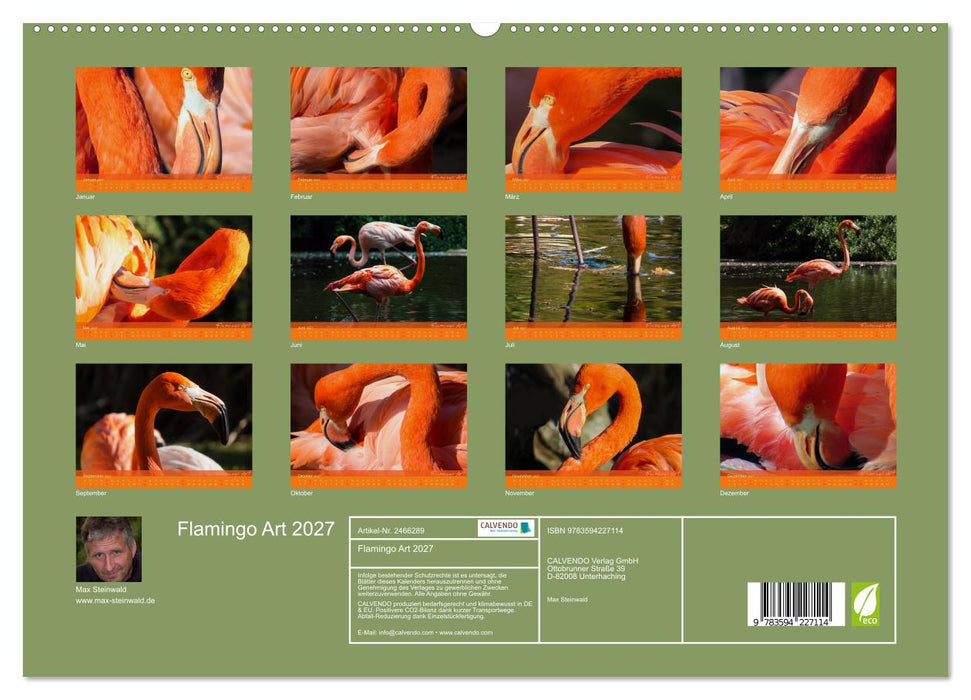 Flamingo Art 2027 (CALVENDO Premium Wandkalender 2027)