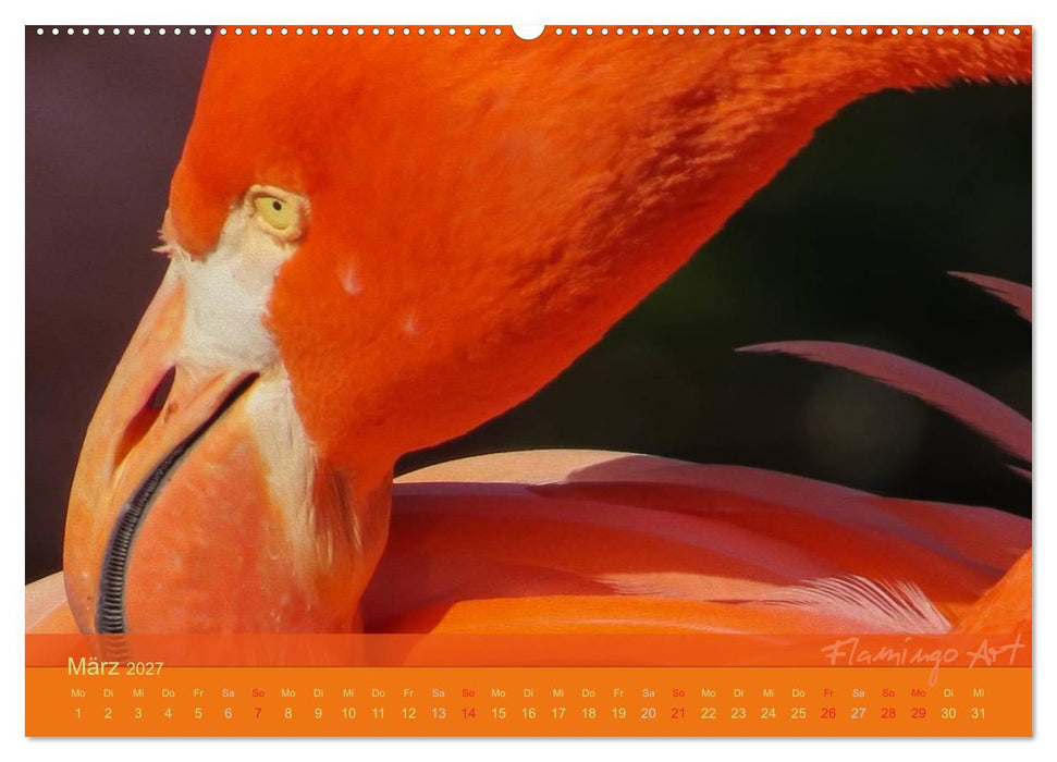 Flamingo Art 2027 (CALVENDO Premium Wandkalender 2027)