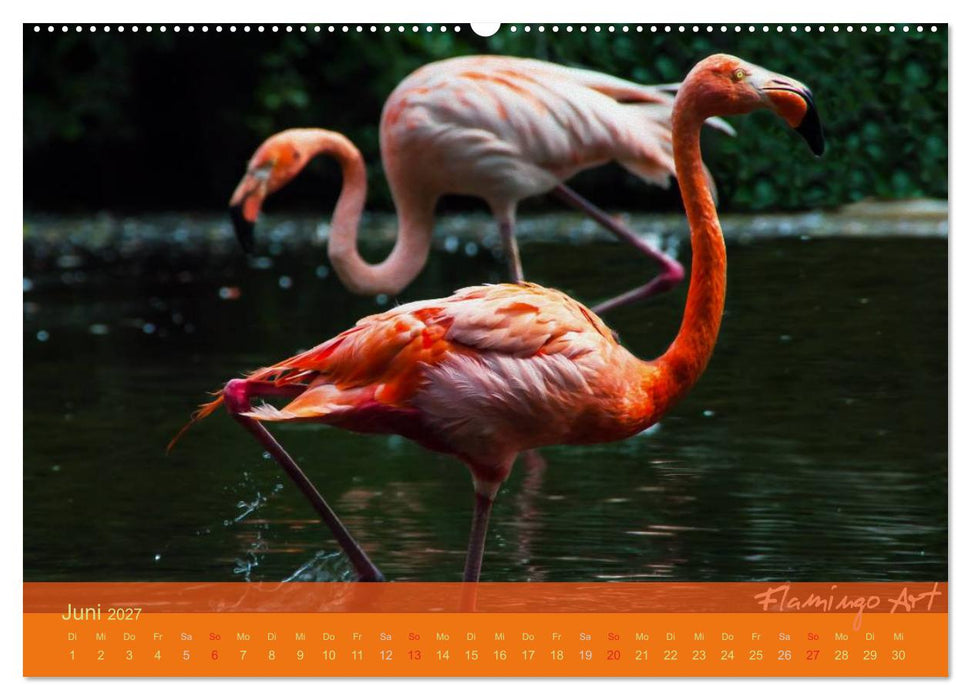 Flamingo Art 2027 (CALVENDO Premium Wandkalender 2027)