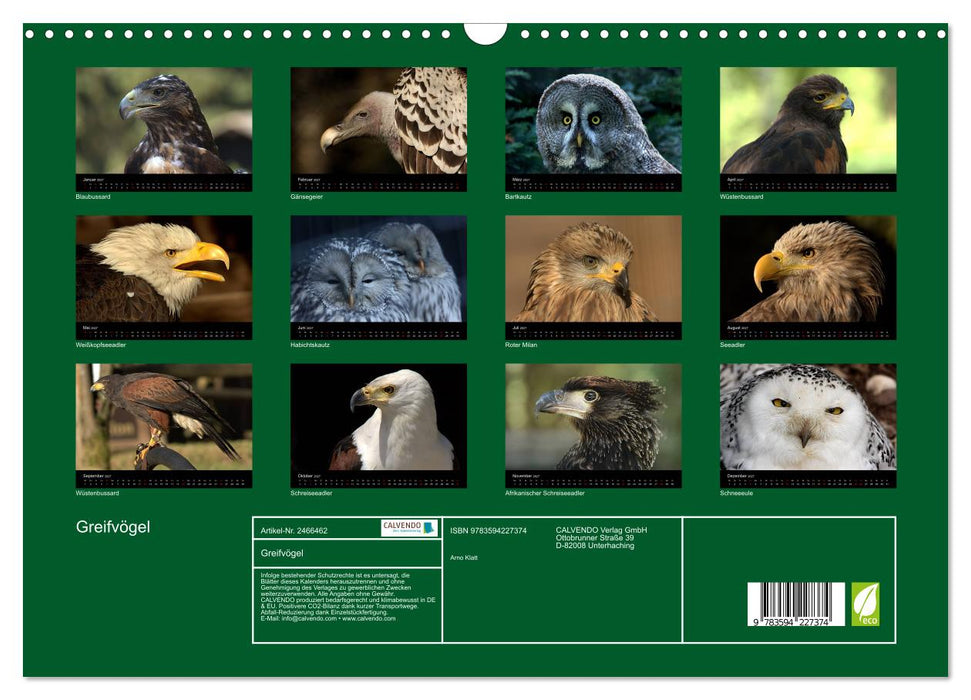 Greifvögel (CALVENDO Wandkalender 2027)