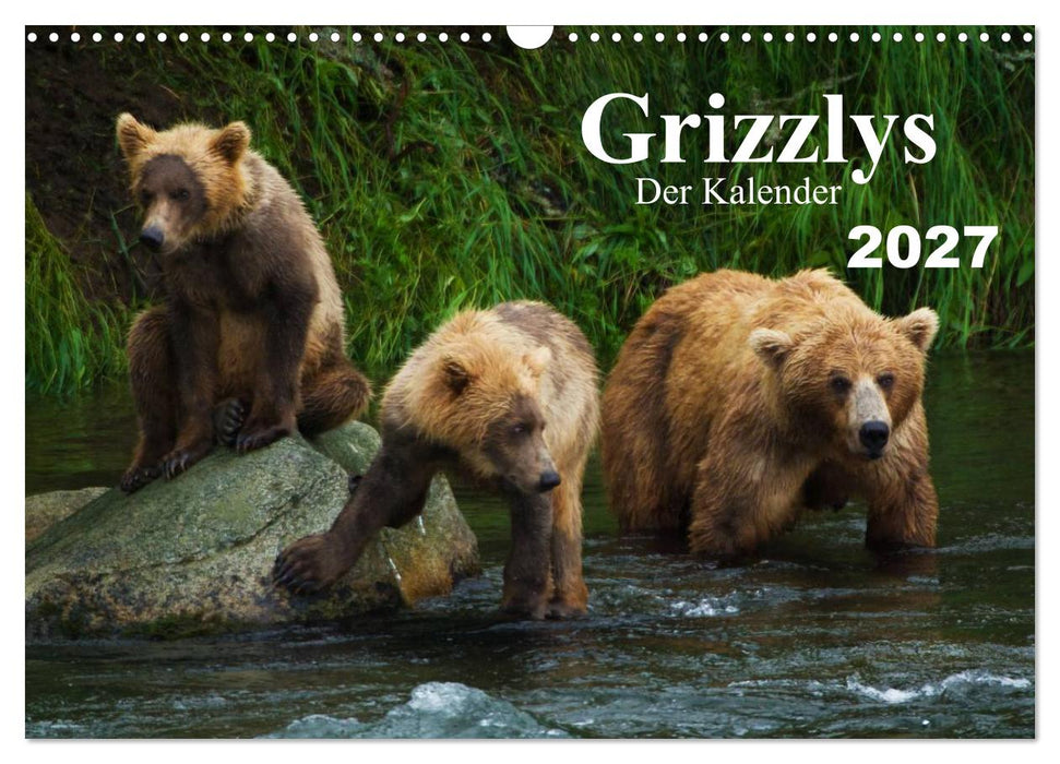 Grizzlys - Der Kalender (CALVENDO Wandkalender 2027)
