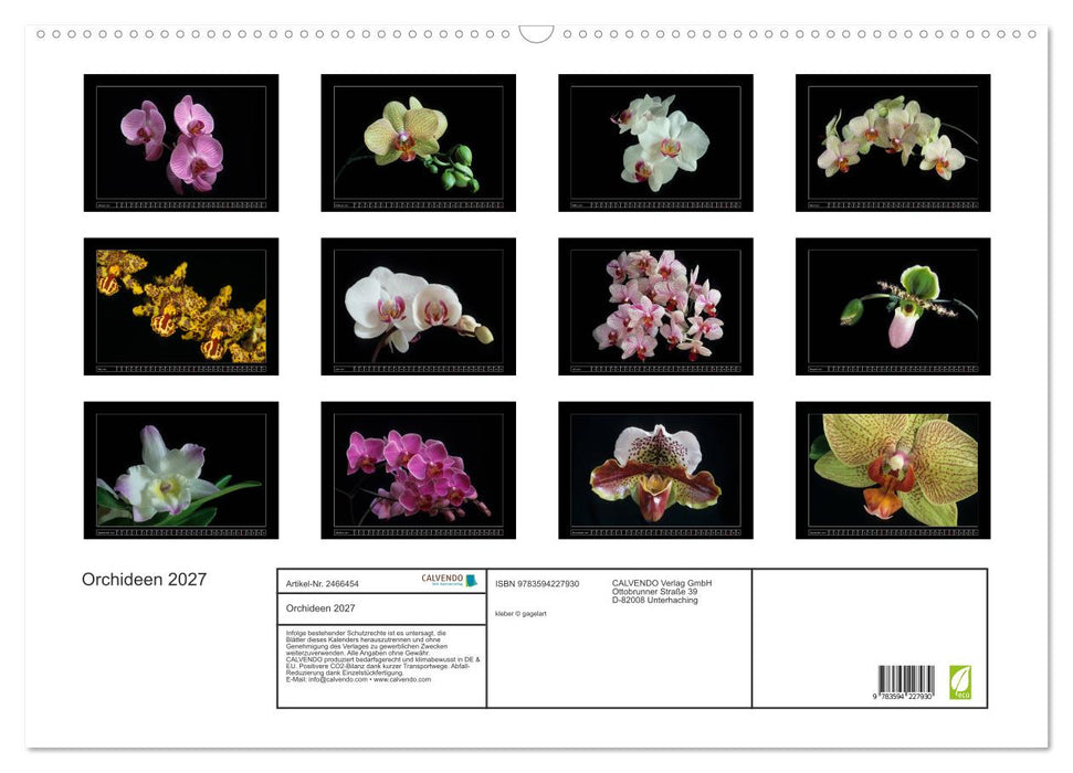 Orchideen 2027 (CALVENDO Wandkalender 2027)