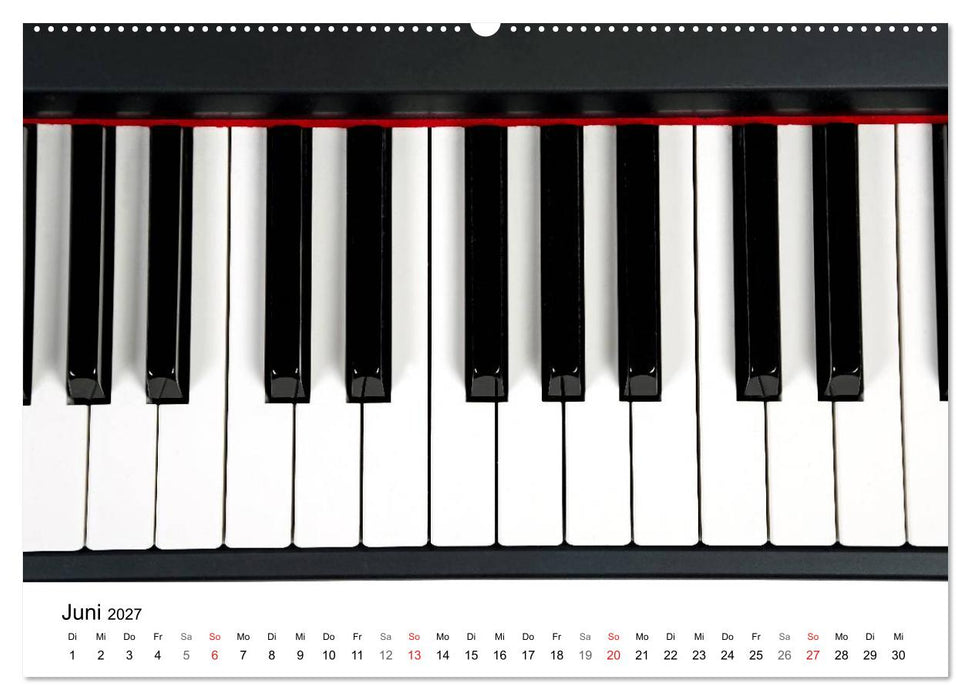 Musik ist mein Leben (CALVENDO Premium Wandkalender 2027)