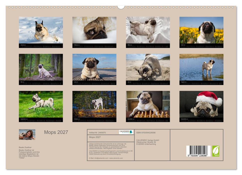Mops 2027 (CALVENDO Premium Wandkalender 2027)