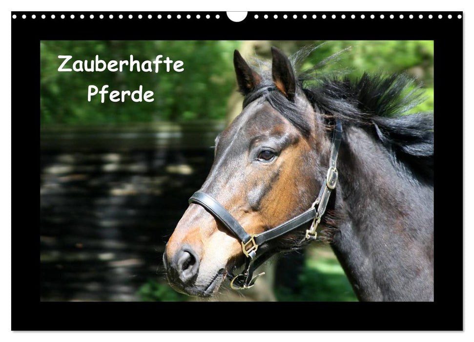 Zauberhafte Pferde (CALVENDO Wandkalender 2027)