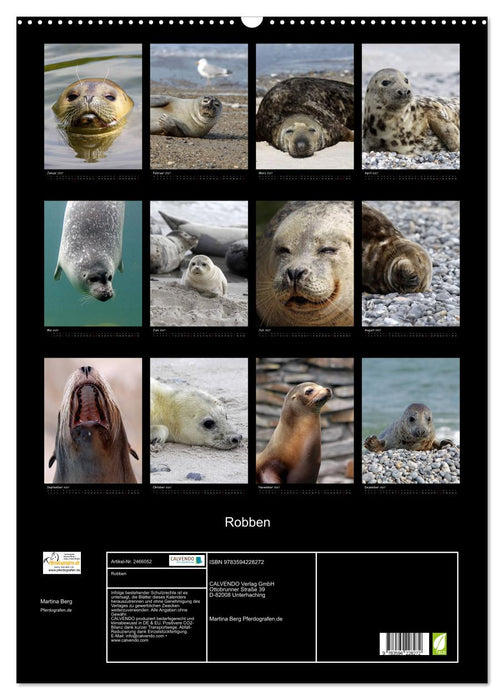 Robben (CALVENDO Wandkalender 2027)