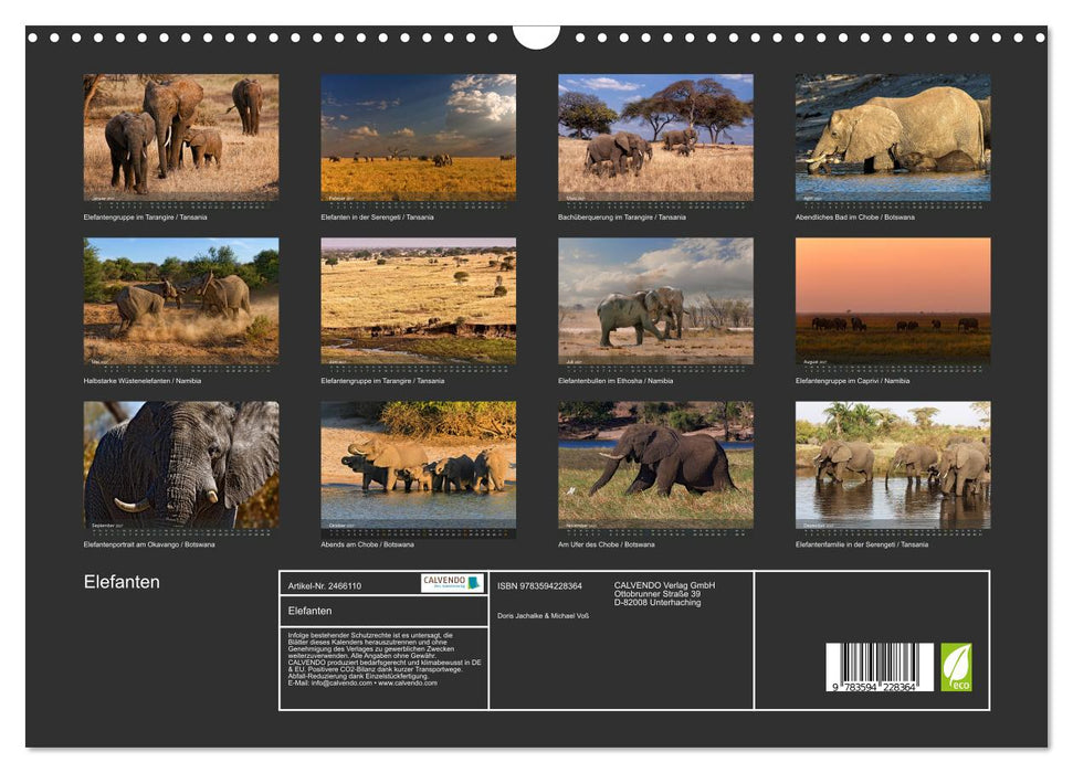 Elefanten (CALVENDO Wandkalender 2027)