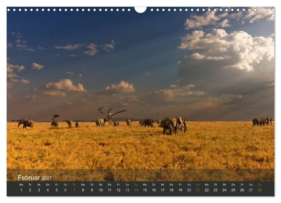 Elefanten (CALVENDO Wandkalender 2027)