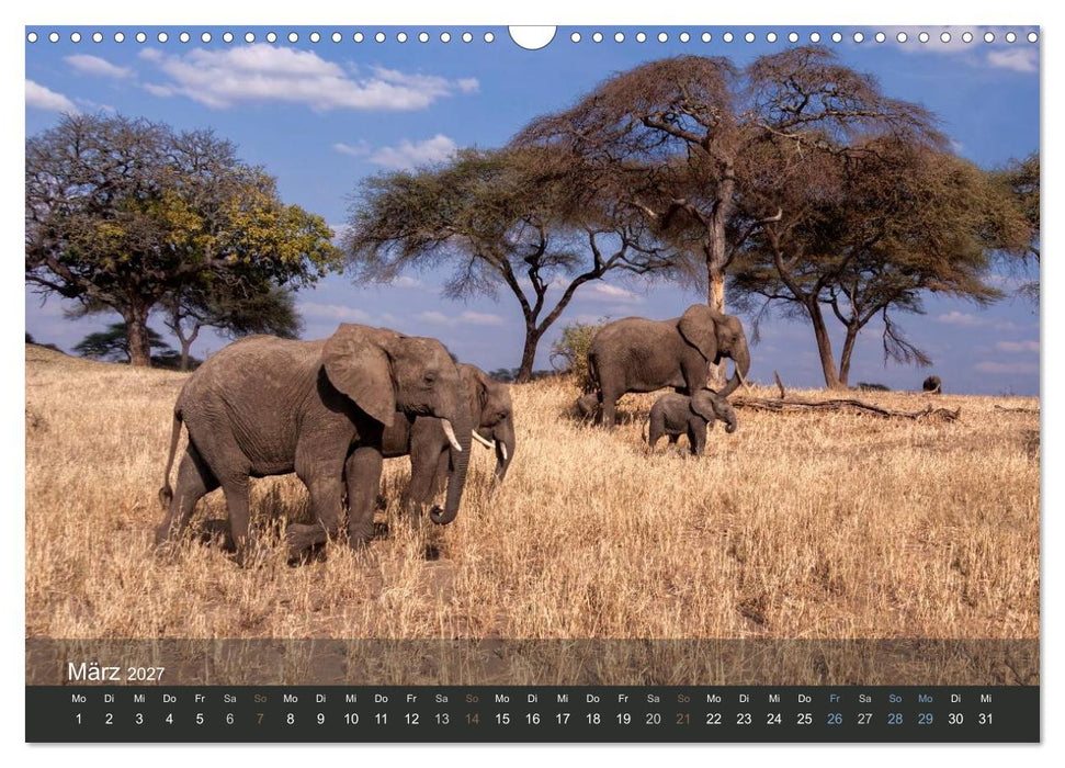 Elefanten (CALVENDO Wandkalender 2027)