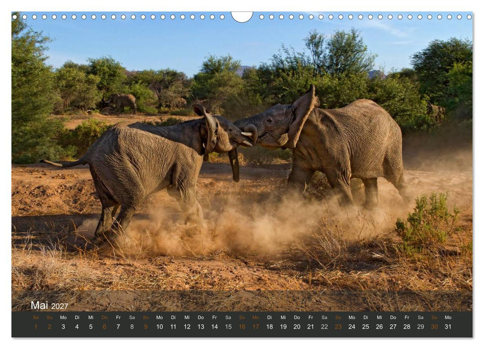 Elefanten (CALVENDO Wandkalender 2027)