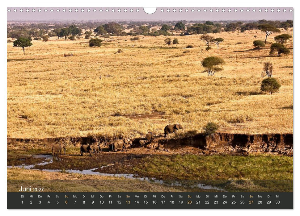Elefanten (CALVENDO Wandkalender 2027)