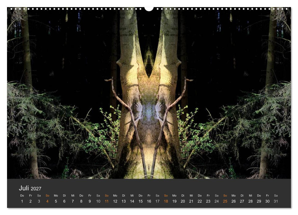 Spiegelwelten - Im Reich der Naturwesen (CALVENDO Premium Wandkalender 2027)