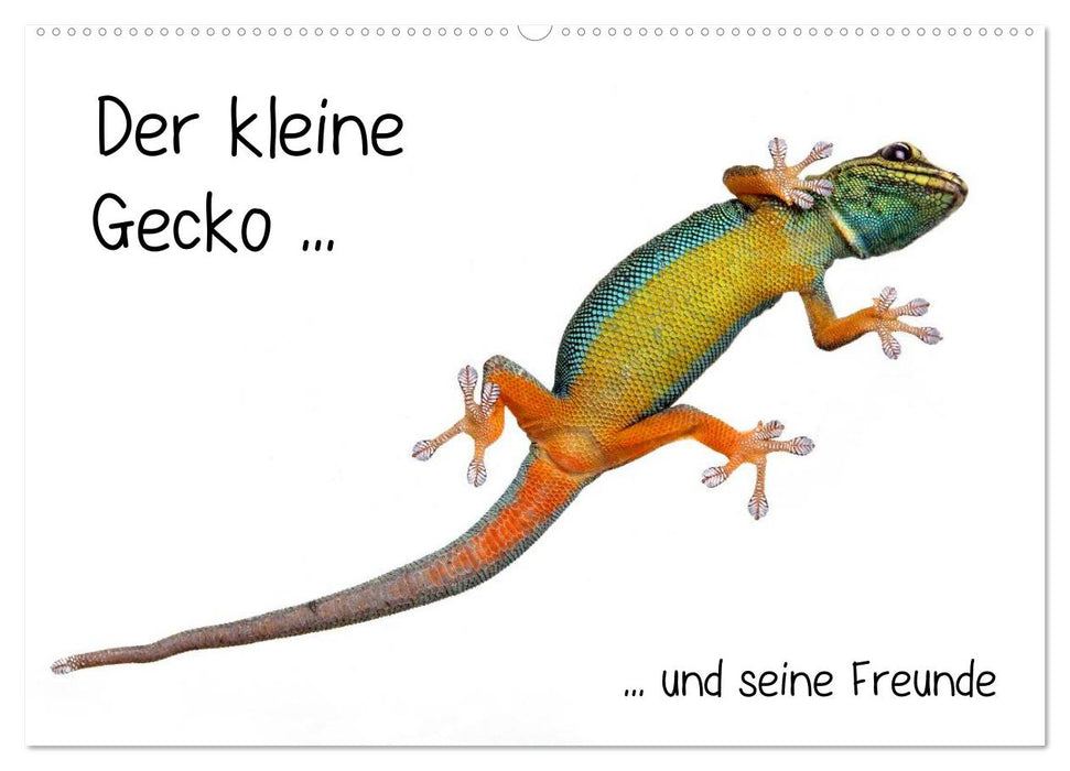 Der kleine Gecko und seine Freunde (CALVENDO Wandkalender 2027)