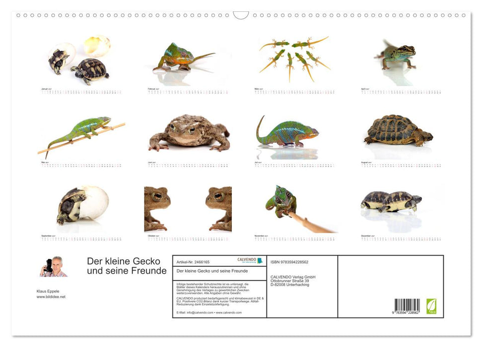 Der kleine Gecko und seine Freunde (CALVENDO Wandkalender 2027)