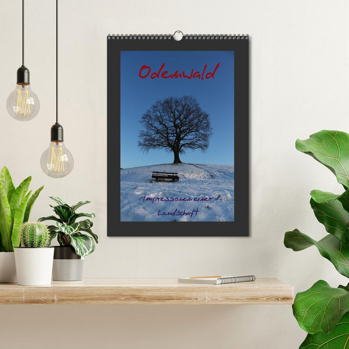 Odenwald - Impressionen einer Landschaft (CALVENDO Wandkalender 2027)