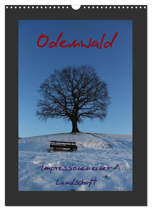Odenwald - Impressionen einer Landschaft (CALVENDO Wandkalender 2027)