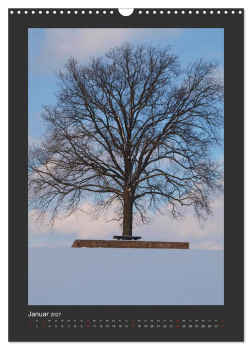Odenwald - Impressionen einer Landschaft (CALVENDO Wandkalender 2027)