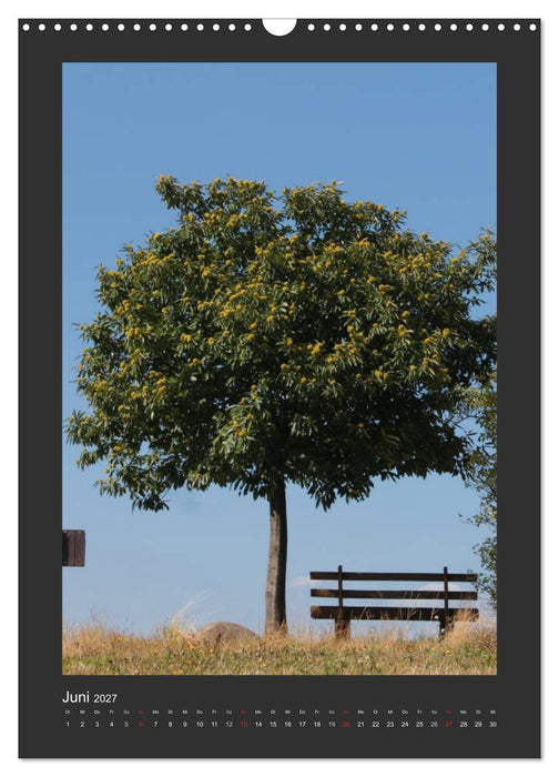 Odenwald - Impressionen einer Landschaft (CALVENDO Wandkalender 2027)