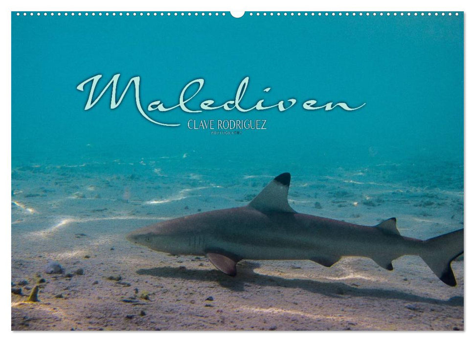 Unterwasserwelt der Malediven I (CALVENDO Wandkalender 2027)