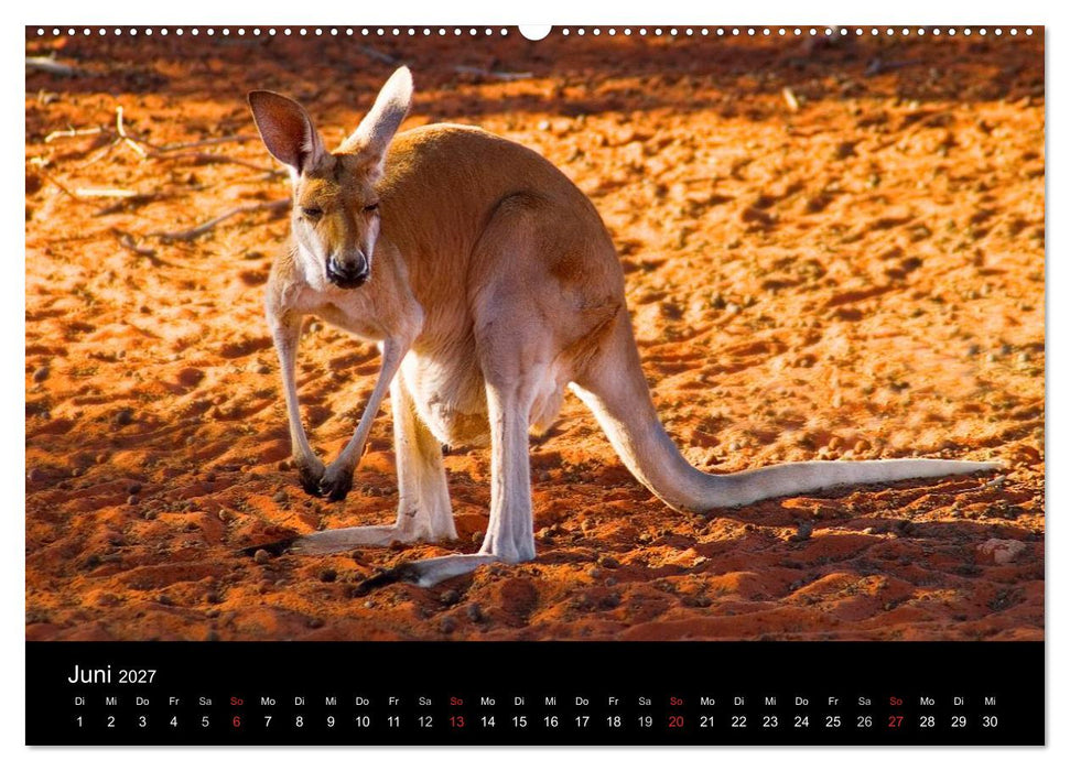Australien (CALVENDO Premium Wandkalender 2027)
