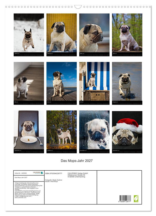 Das Mops-Jahr 2027 (CALVENDO Wandkalender 2027)