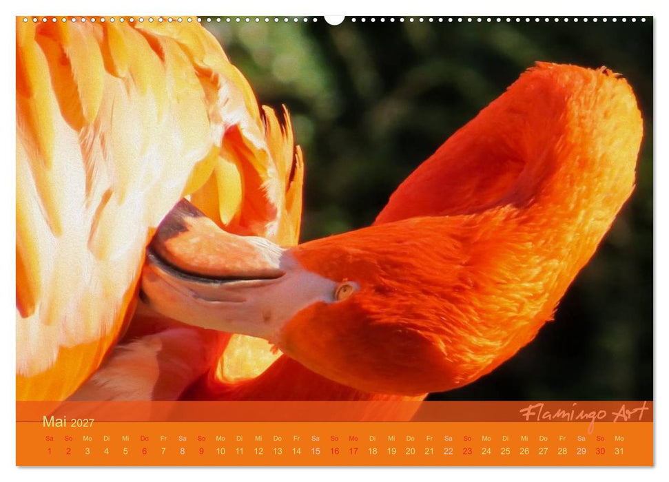 Flamingo Art 2027 (CALVENDO Wandkalender 2027)