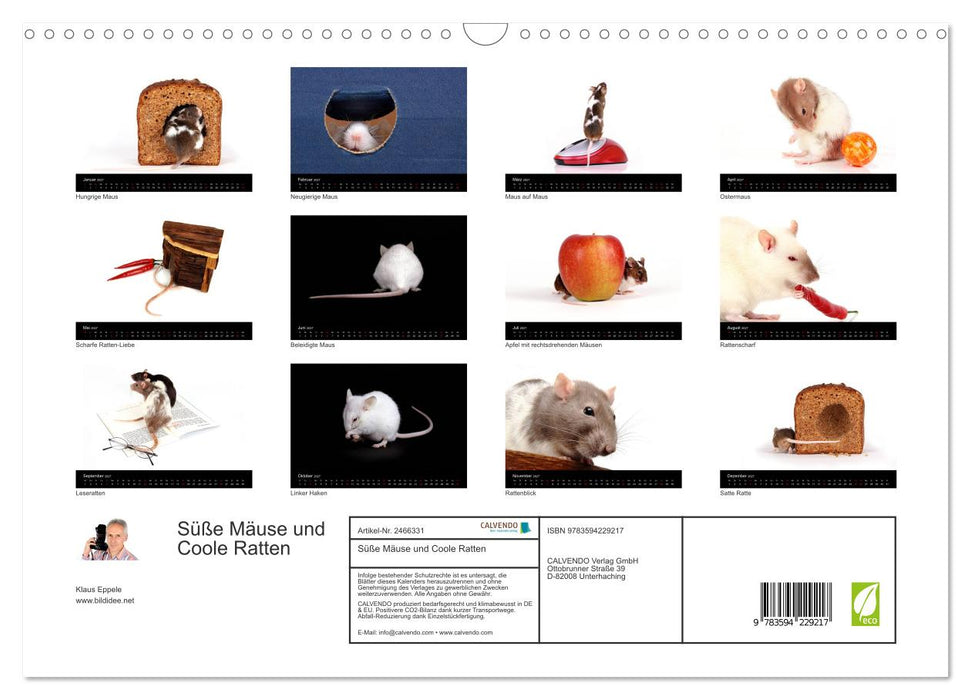 Süße Mäuse und Coole Ratten (CALVENDO Wandkalender 2027)