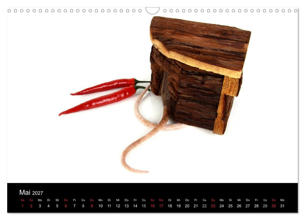 Süße Mäuse und Coole Ratten (CALVENDO Wandkalender 2027)
