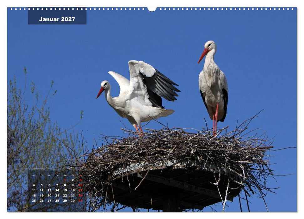 Glücksbringer (CALVENDO Premium Wandkalender 2027)