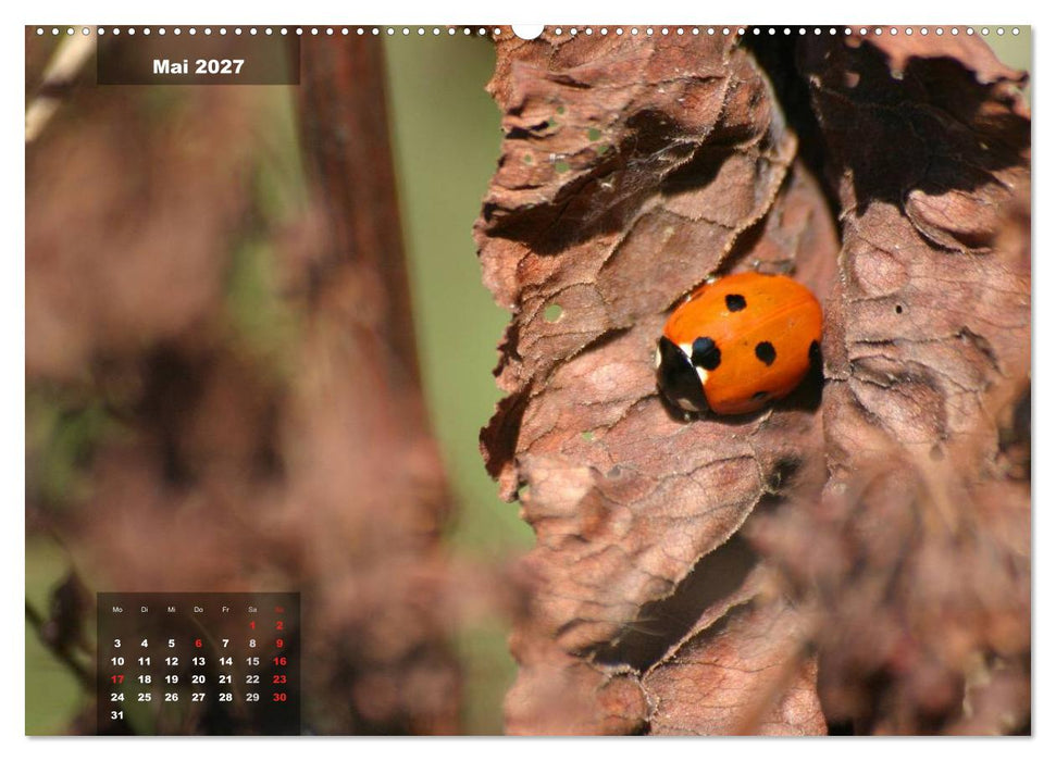 Glücksbringer (CALVENDO Premium Wandkalender 2027)