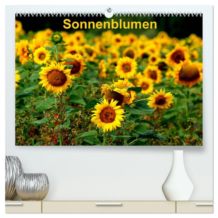 Sonnenblumen (CALVENDO Premium Wandkalender 2027)