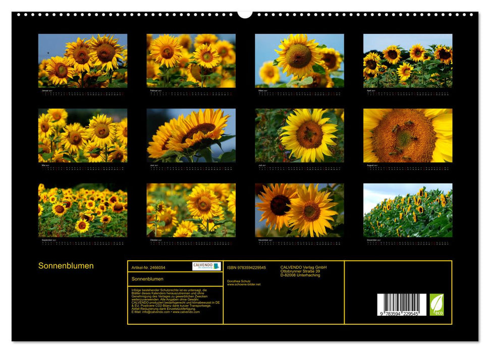 Sonnenblumen (CALVENDO Premium Wandkalender 2027)