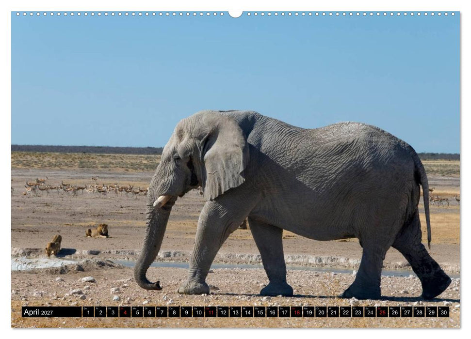 Faszination Namibia (CALVENDO Wandkalender 2027)