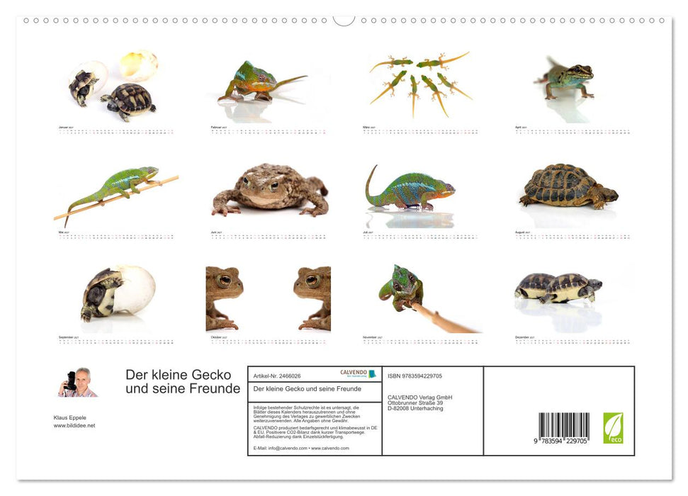 Der kleine Gecko und seine Freunde (CALVENDO Premium Wandkalender 2027)