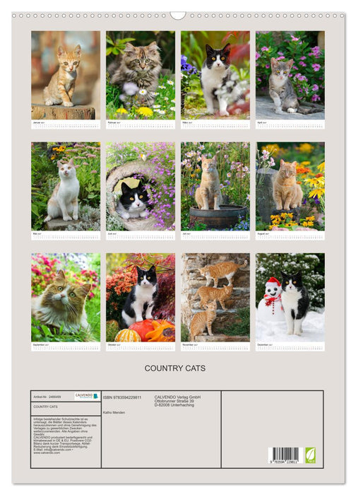 COUNTRY CATS (CALVENDO Wandkalender 2027)