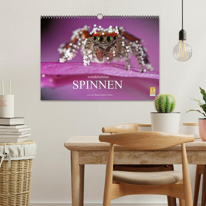 Wunderschöne Spinnen (CALVENDO Wandkalender 2027)