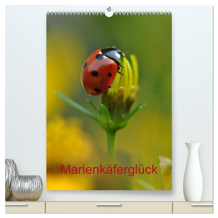 Marienkäferglück (CALVENDO Premium Wandkalender 2027)