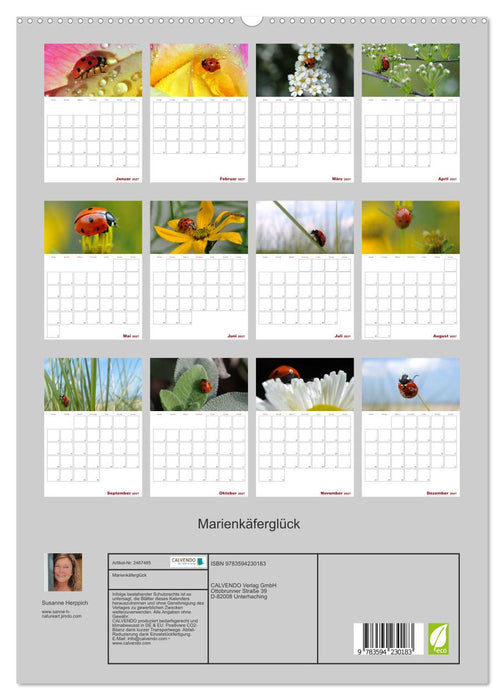 Marienkäferglück (CALVENDO Premium Wandkalender 2027)