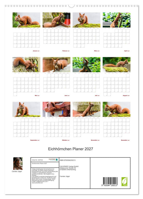 Eichhörnchen Planer 2027 (CALVENDO Premium Wandkalender 2027)