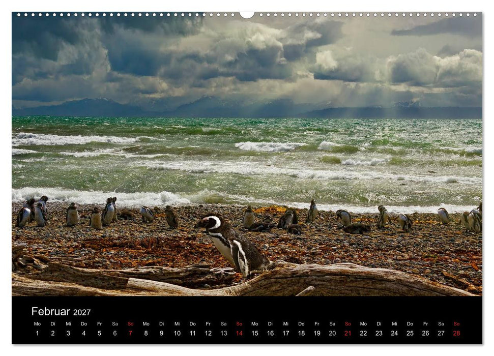 Fantastisches Chile (CALVENDO Wandkalender 2027)
