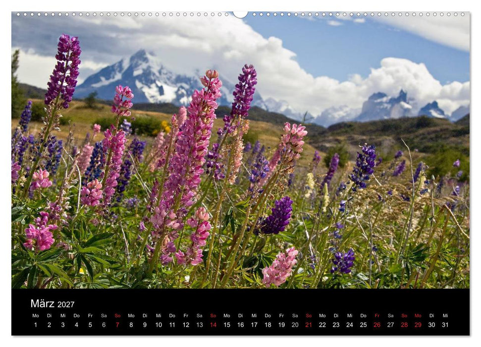 Fantastisches Chile (CALVENDO Wandkalender 2027)