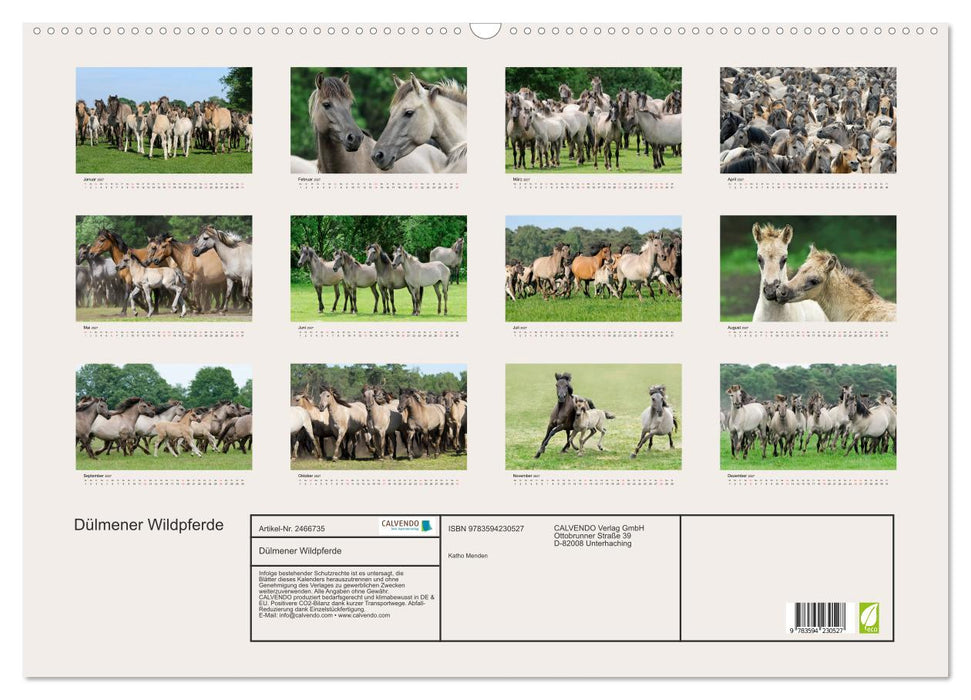 Dülmener Wildpferde (CALVENDO Wandkalender 2027)