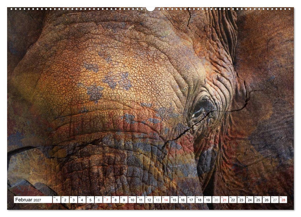 Emotionale Momente: African Dreams (CALVENDO Wandkalender 2027)