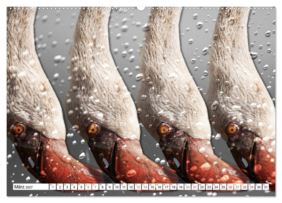 Emotionale Momente: African Dreams (CALVENDO Wandkalender 2027)