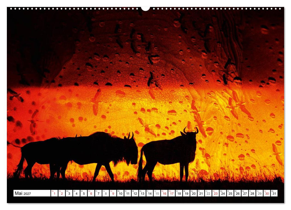 Emotionale Momente: African Dreams (CALVENDO Wandkalender 2027)