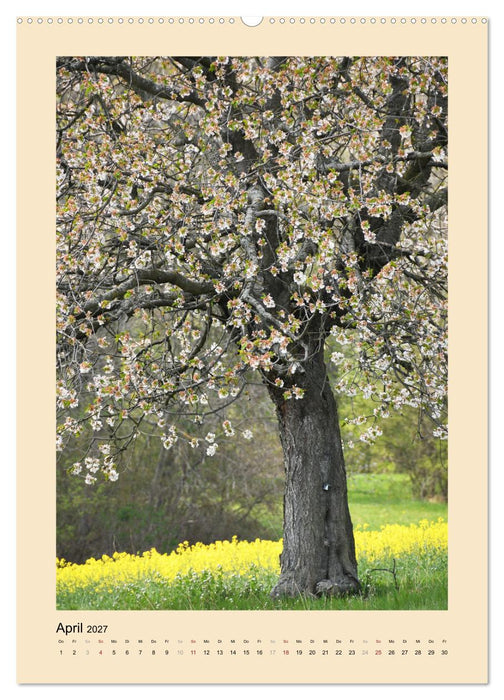 Jahreszeiten (CALVENDO Premium Wandkalender 2027)