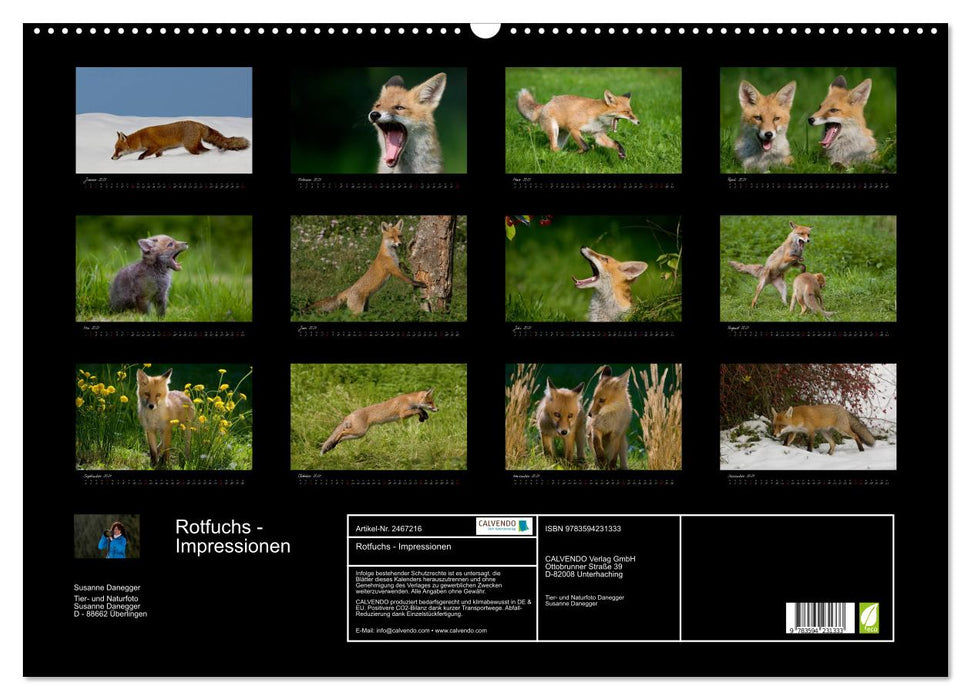 Rotfuchs - Impressionen (CALVENDO Wandkalender 2027)