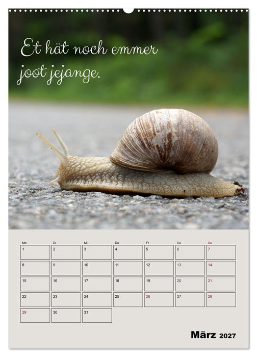 Kölsches Grundgesetz (CALVENDO Wandkalender 2027)